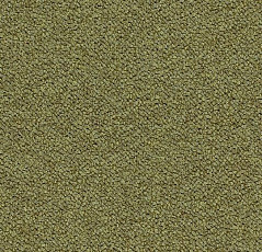 Ковровая плитка Tessera Chroma 3613 Pasture фото 1 | FLOORDEALER